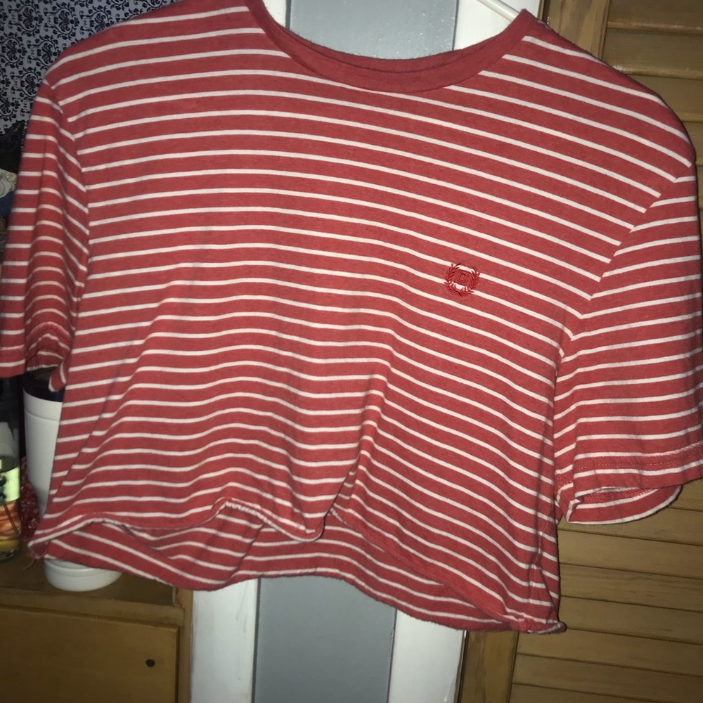 Chaps Crop Top